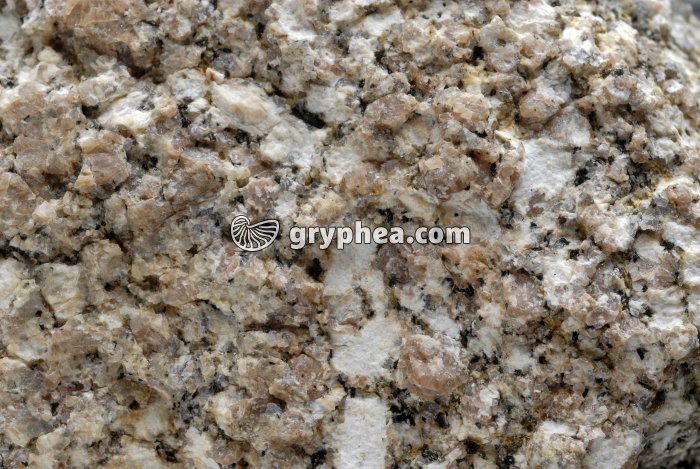 Granite intrusif altéré ou granite  - gryphea.com